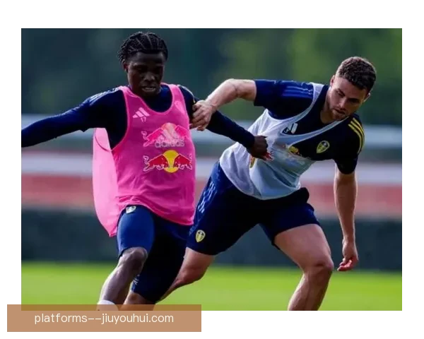 纽卡斯尔联伤病潮不断冲击战绩英超排名持续下滑